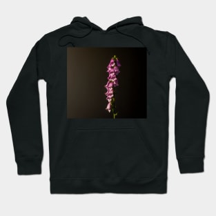 Purple foxglove flower still life Hoodie